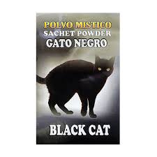 Image result for Black Cat Sac