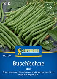 Image result for Buschbohnen