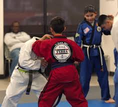 Image result for Arlington Martial Arts Academy