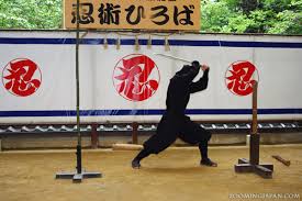 Image result for Hertfordshire Iga Ryu Ninjutsu