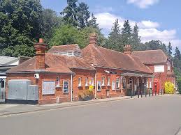 Image result for Horsley & Send Cricket Club