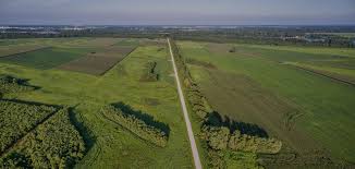 Image result for site