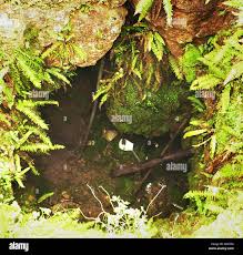 Image result for Charterhouse Climbing Centre