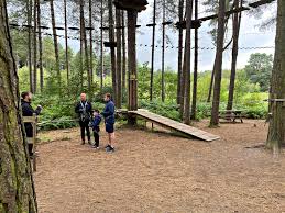 Image result for The Go Ape Experience (Delamere Forest)
