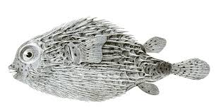 Image result for Diodon hystrix