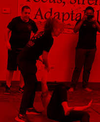 Image result for Somerset Jeet Kune Do