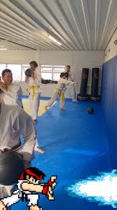 Image result for Plymouth Karate Club Kyokai
