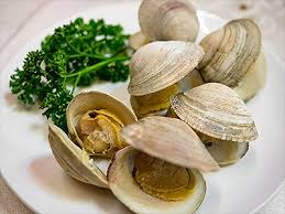 Image result for Clams