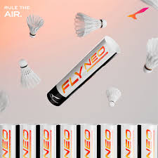 Image result for Feathers (New Milton) Badminton Club