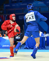 Image result for Combat Sambo