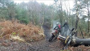 Image result for Witley & District M C C