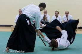 Image result for Aikido Rickmansworth