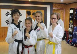 Image result for COMBAT TAEKWONDO