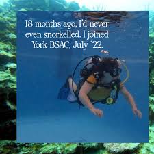 Image result for York University Sub Aqua Club