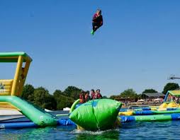 Image result for New Forest/Waterside