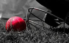 Image result for Thorp Arch & Boston Spa Cricket Club