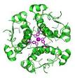 Insulin - Wikipedia, the free encyclopedia