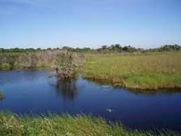 Image result for Slough