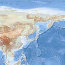 Image result for Vazella pourtalesii