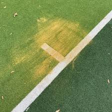 Image result for Peterborough Town Cricket Hockey & Squash Club Ltd K/A Peterborough Town Sports Club