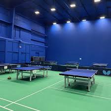 Image result for Bryn Badminton Club