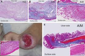 Image result for Slough