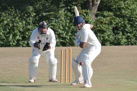 Image result for Ivybridge Cricket Club