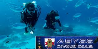 Image result for Abyss Dive Club