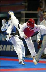 Image result for Reading Wtf Taekwondo