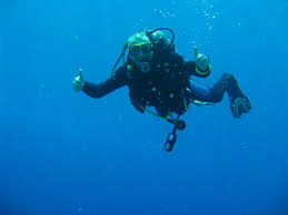 Image result for Surrey Aquanauts B S A C 0689