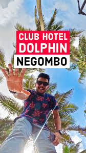 Image result for Dolphin Indoor Bowls Club