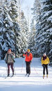 Image result for Lakeland Cross Country Ski Club