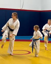 Image result for Kyokushinkai Karate Bradford
