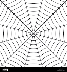 Image result for web patterns