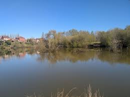 Image result for Dunham Massey Angling Club