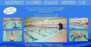 Image result for Dolphins Sheltered & Disabled Swim Club