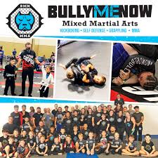 Image result for Bully Me Now Mixed Martial Arts