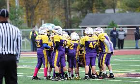 Image result for Eaton Eagles Badminton Club