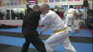 Image result for Taunton Karate academy
