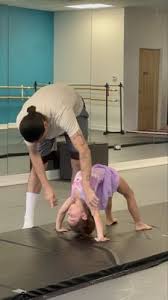 Image result for L&G Acrobatics