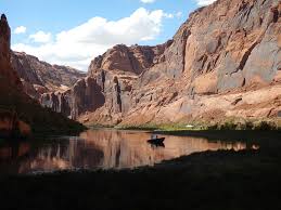 Image result for Clyde Valley Predators