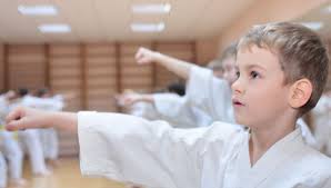 Image result for Haslemere Karate Club