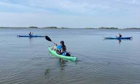 Image result for Paddletastic