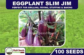 Afbeeldingsresultaat voor slim jim eggplant