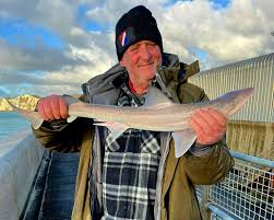 Image result for British Conger Club