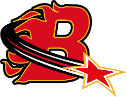 Image result for Telford Tigers