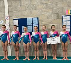 Image result for Forest Of Dean Gymnastics Club