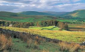 Image result for The Moors Golf & Lodging