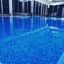 Image result for BRIGHOUSE SWIMMING CLUB