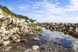 Image result for stevns klint